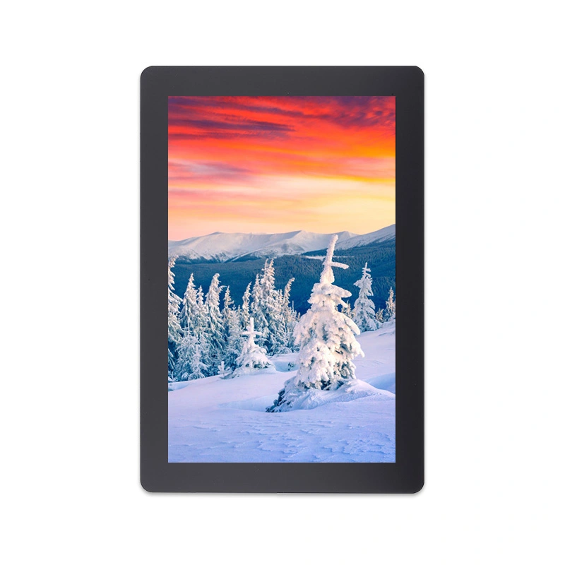 Modulo LCD interfaccia IPS MIPI con risoluzione 10.1x800 da 1280 pollici